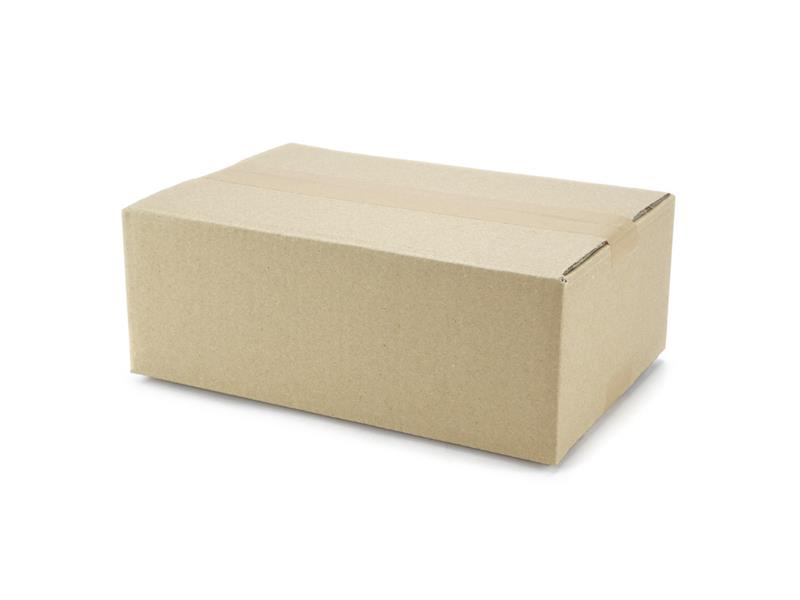 300 x 200 x 100 mm 2-welliger Karton