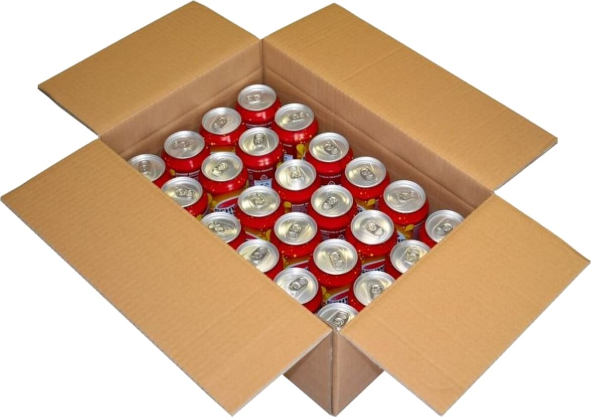 Dosenversandkarton 24er 0,33 l - 0,5 l