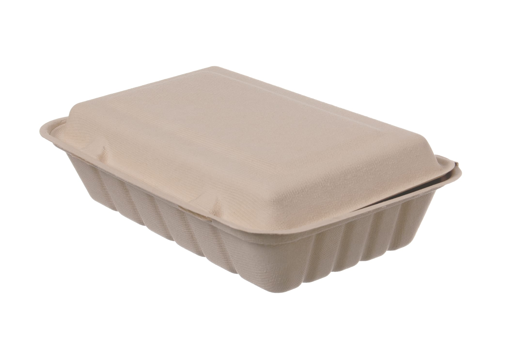 Lunchbox Bagasse 220 x 150 x 80 mm