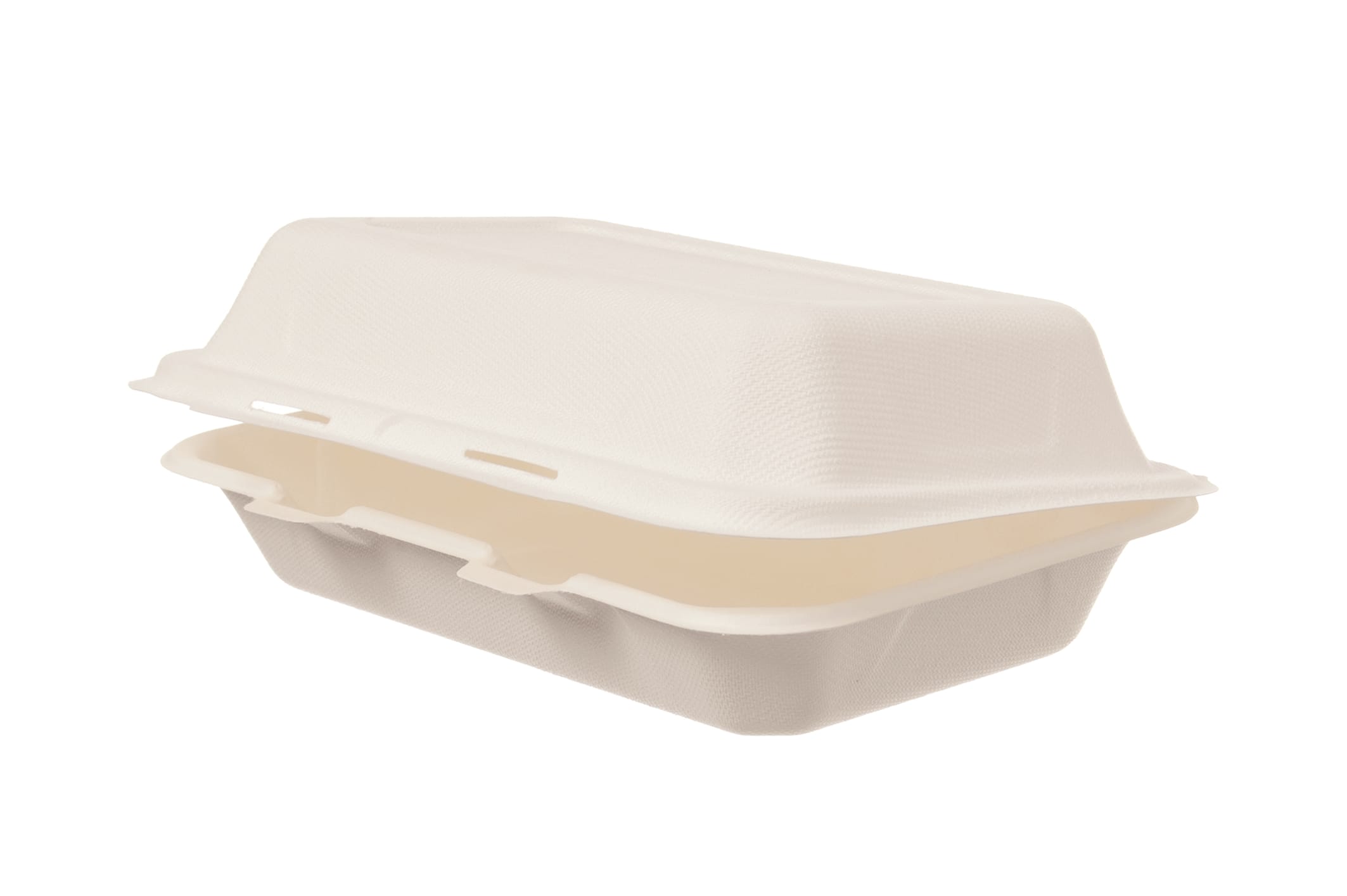 Lunchbox Bagasse IP10/HP3, 162 x 244 x 72 mm