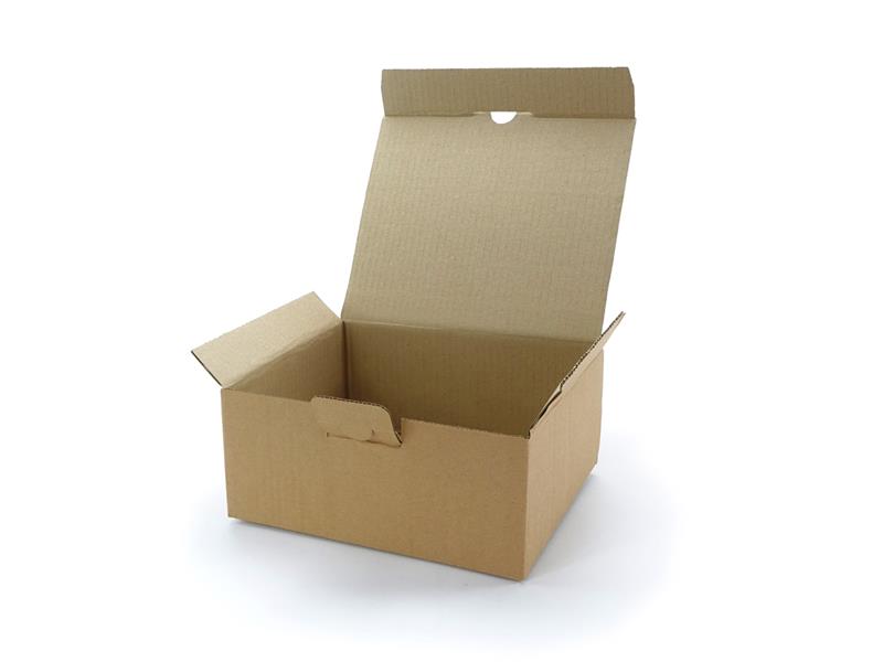 240 x 200 x 100 mm Warensendungs-Karton