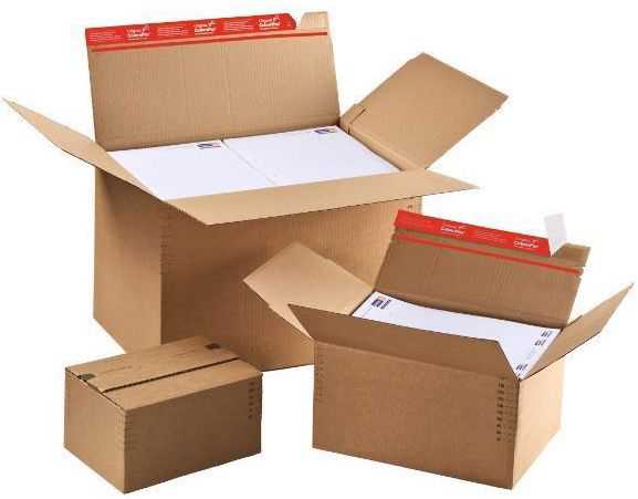 Blitzbodenkarton HR 445 x 315 x 180-300 mm