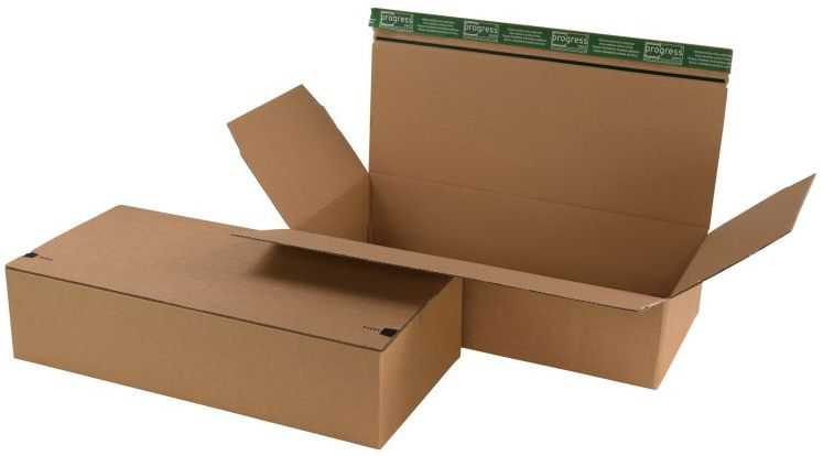 Paketbox "Premium Flix" mit Automatikboden 590 x 290 x 130 mm