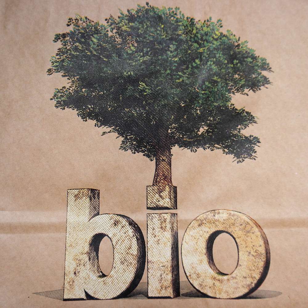 braune Kraft Papiertragetasche bedruckt, 260 + 120 x 350 mm *Bio*