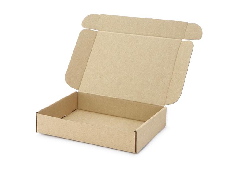 200 x 152 x 40 mm Maxibrief Karton