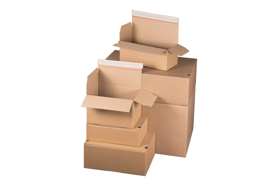 Speedy SK, Automatikboden-Karton 220 x 220 x 73 mm