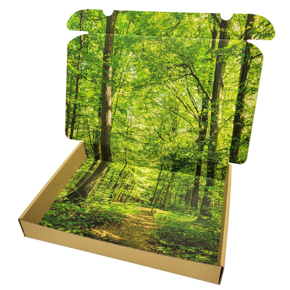 Maxibriefkarton 350 x 250 x 50 mm (Außenmaß) mit Digitaldruck Innendruck vollflächig + Außendruck einseitig bis 30 %