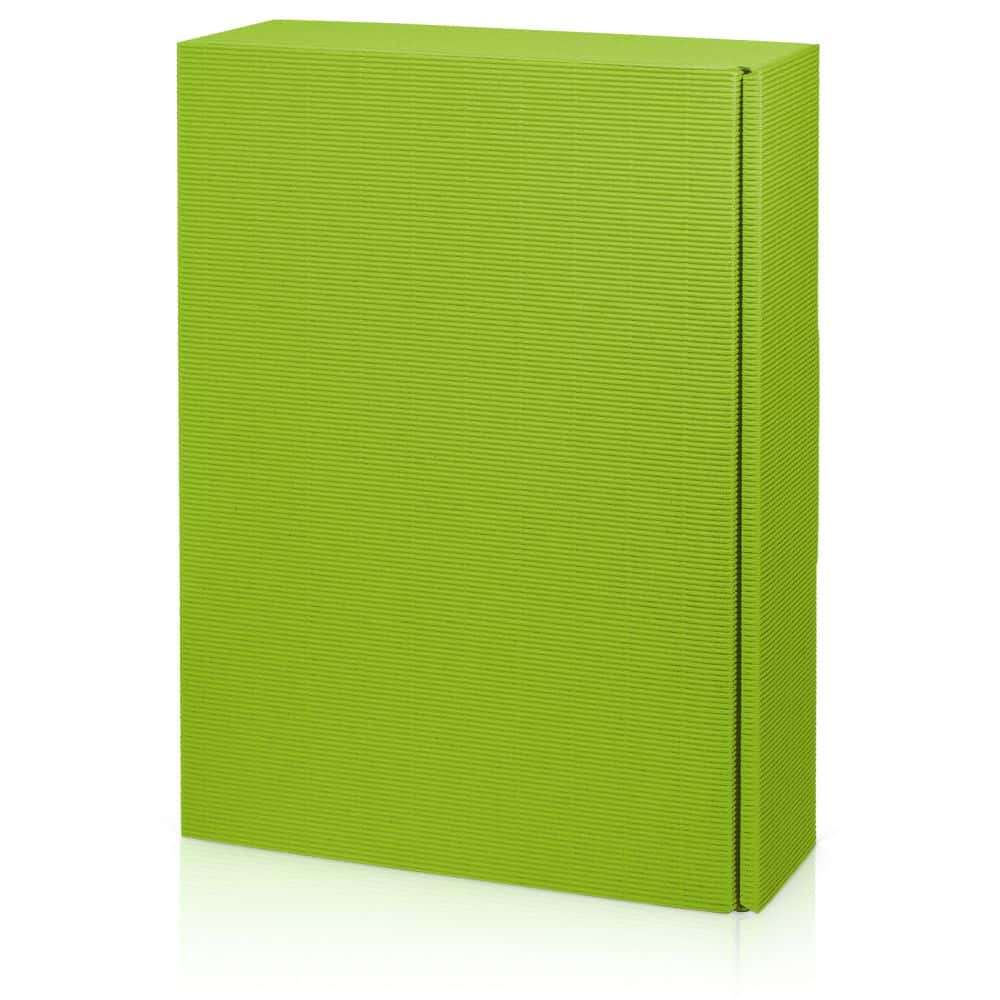 Geschenkbox offene Welle 3er Wein/Sekt Hellgrün