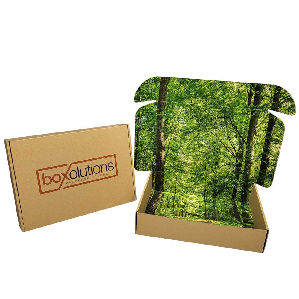 DHL Kleinpaket 350 x 250 x 80 mm (Außenmaß) Faltschachtel SK mit Digitaldruck Innendruck vollflächig + Außendruck einseitig bis 30 %