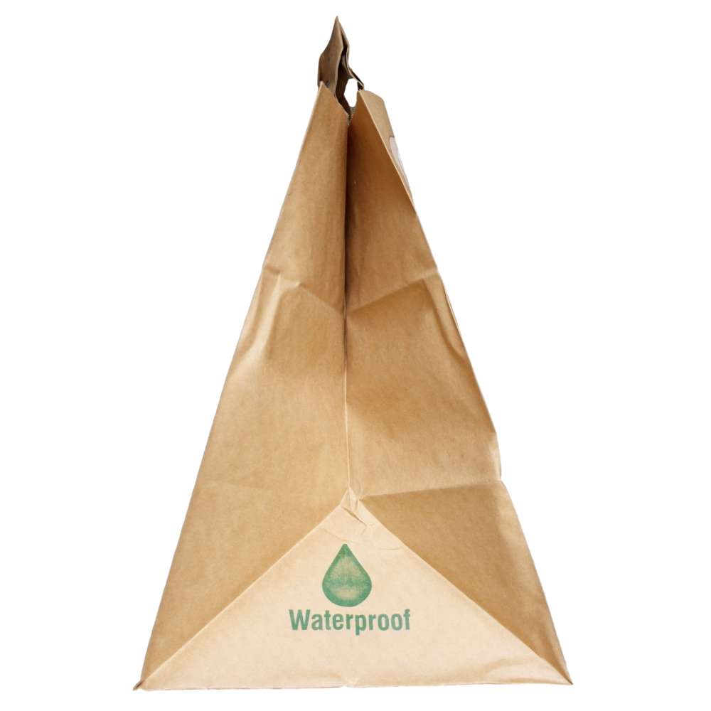 braune Kraft Papiertragetasche bedruckt, 260 + 170 x 250 mm *Apfel*