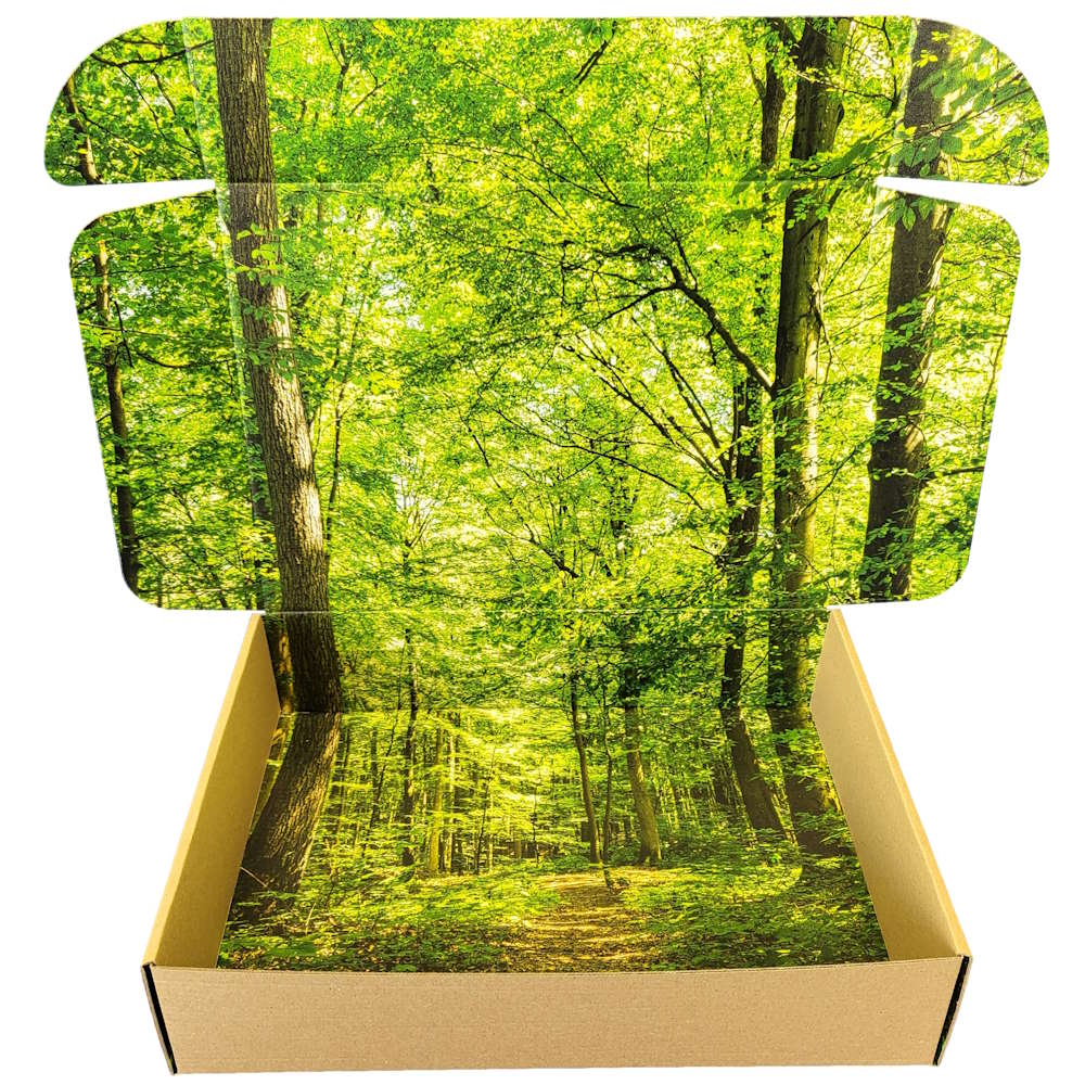 DHL Kleinpaket 350 x 250 x 80 mm (Außenmaß) Faltschachtel SK mit Digitaldruck Innendruck vollflächig + Außendruck einseitig bis 30 %