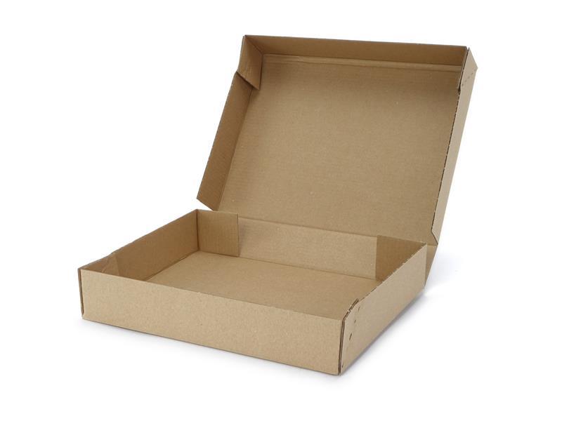 255 x 200 x 46 mm Maxibrief Karton 255 x 200 x 46 mm Maxibrief Karton