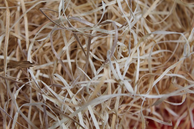 1 kg Gemüsewolle *Gartenholzwolle* Erdbeerwolle 100% natur für den *Biogärtner*