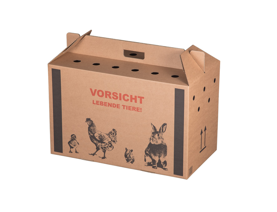 Tiertransportkarton 580 x 309 x 369 mm (Größe L)