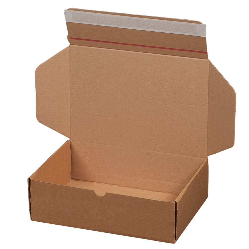 305 x 210 x 91 mm Faltschachtel SK