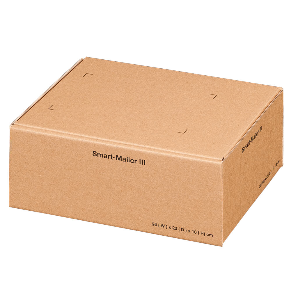 250 x 200 x 100 mm brauner Post-Karton mit Klappdeckel