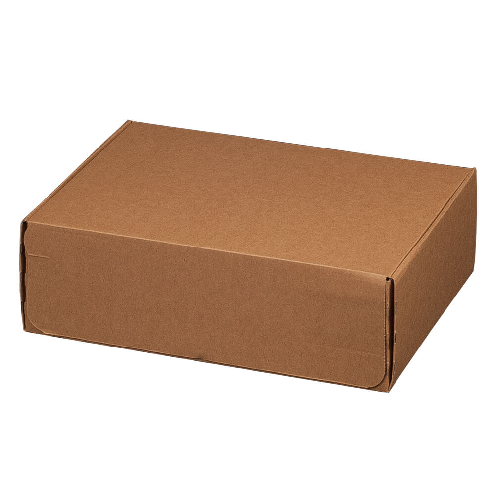 305 x 210 x 91 mm Faltschachtel SK