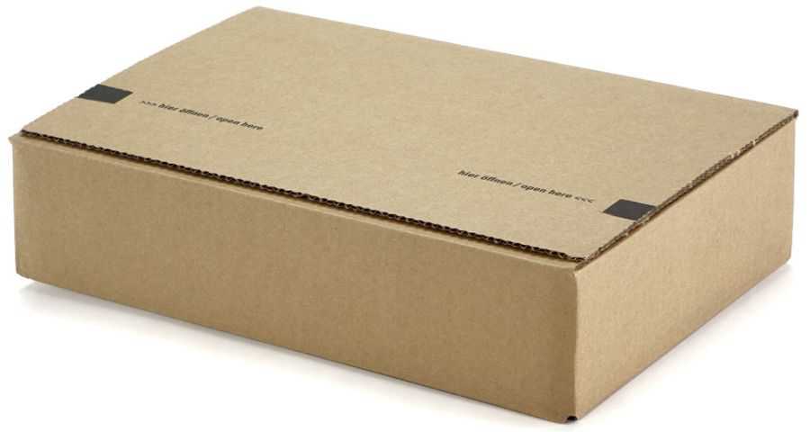 Blitzbodenkarton 230 x 160 x 80 mm
