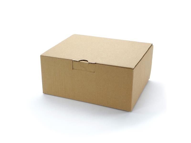 240 x 200 x 100 mm Warensendungs-Karton