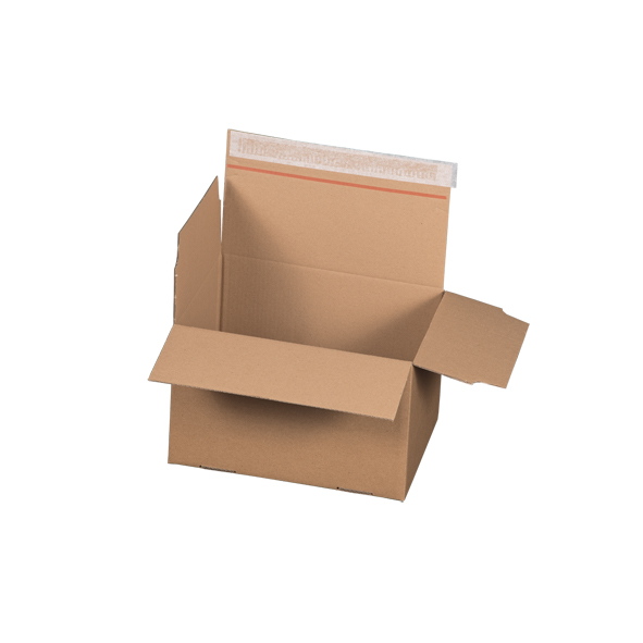 Speedy SK, Automatikboden-Karton 260 x 200 x 160 mm