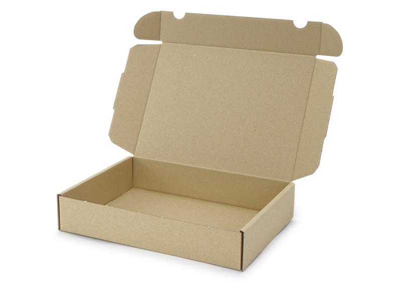 250 x 175 x 50 mm Maxibrief Karton, (Außenmaß)