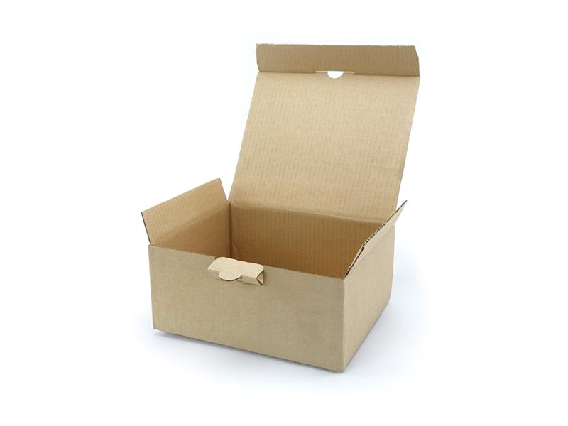 320 x 175 x 155 mm Automatik-Karton