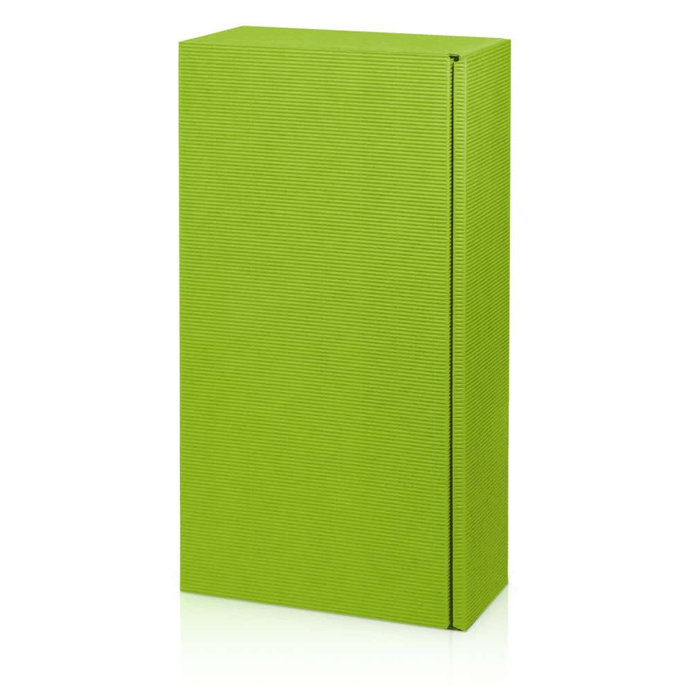 Geschenkbox offene Welle 2er Wein/Sekt Hellgrün