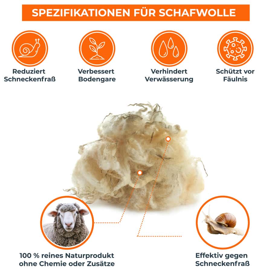 Schafwolle 2 kg