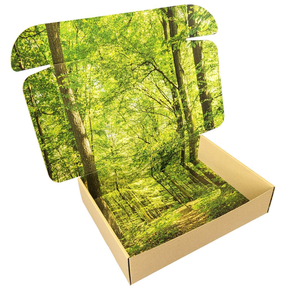 DHL Kleinpaket 350 x 250 x 80 mm (Außenmaß) Faltschachtel SK mit Digitaldruck Innendruck vollflächig + Außendruck einseitig bis 30 %