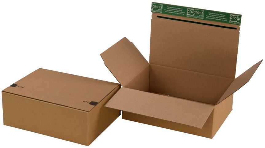 Paketbox "Premium Flix" mit Automatikboden 250 x 155 x 110 mm