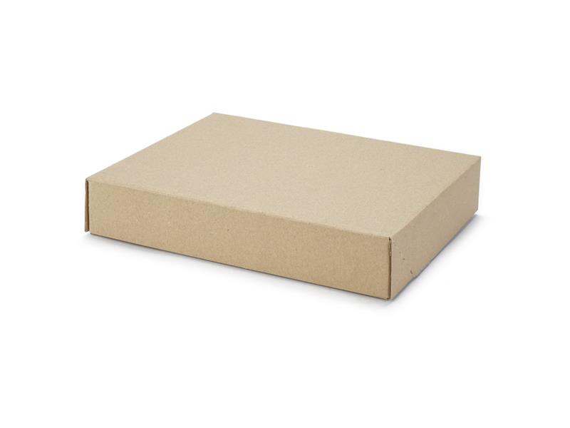 255 x 200 x 46 mm Maxibrief Karton 255 x 200 x 46 mm Maxibrief Karton