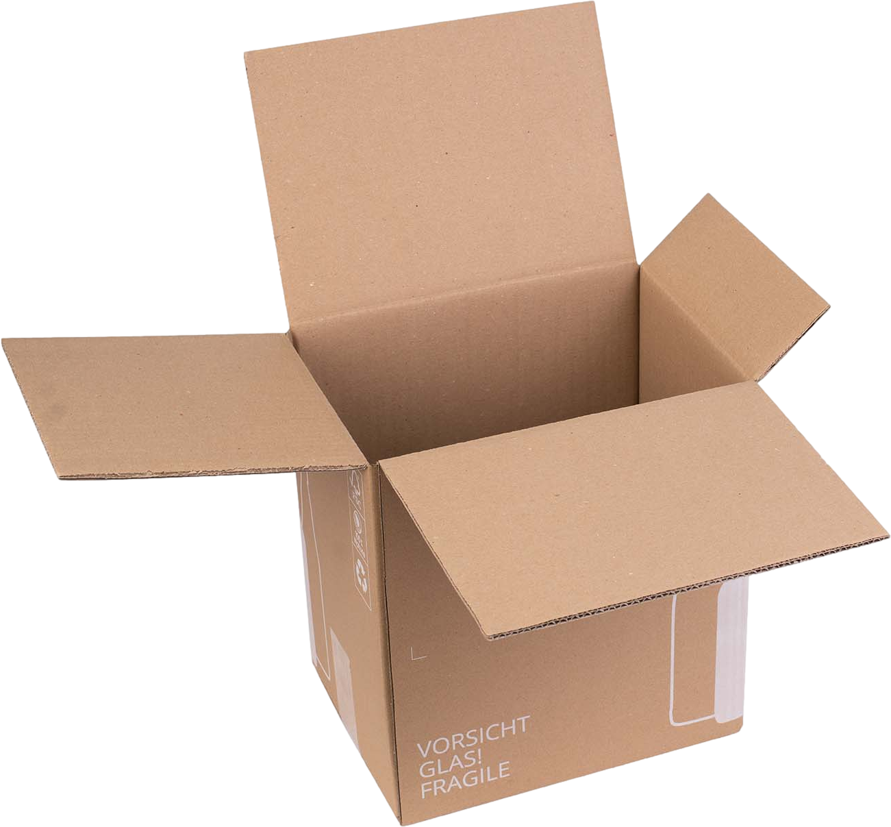 Flaschenkarton Cargo S Sortenrein 6er Umkarton