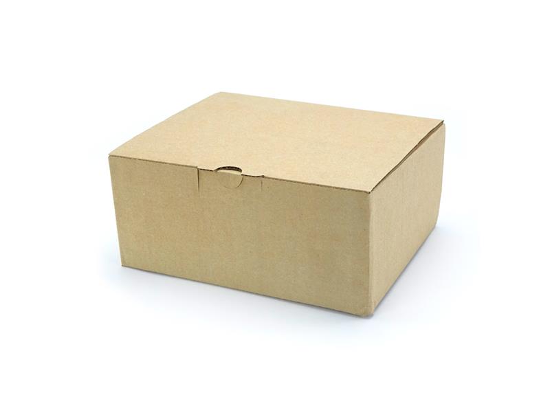 320 x 175 x 155 mm Automatik-Karton