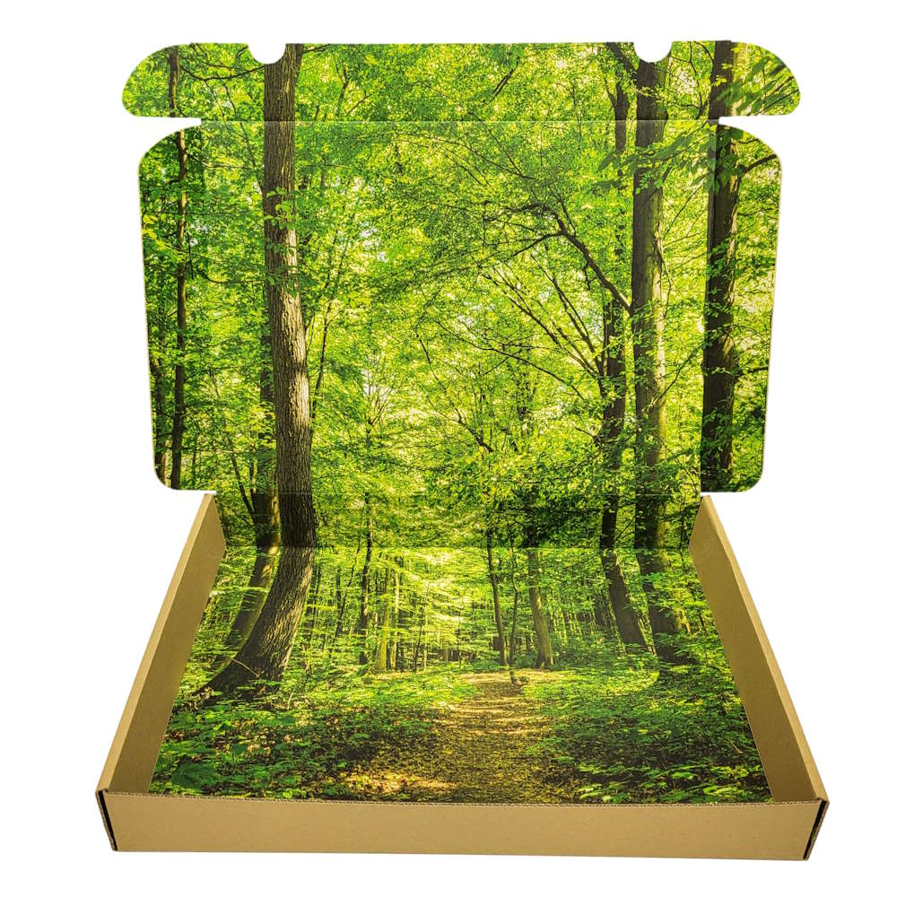 Maxibriefkarton 350 x 250 x 50 mm (Außenmaß) mit Digitaldruck Innendruck vollflächig + Außendruck einseitig bis 30 %